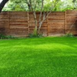 Artificial Turf Surfacing